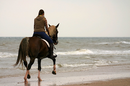 Paardrijden op het strand