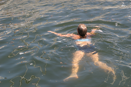 Schwimmen in den Hafen von Brouwershaven